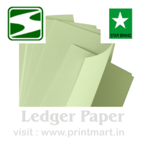 Ledger Paper