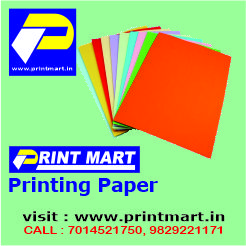 SBS / Duplex PrintMart 300 66.0x96.0 Natural Shine